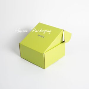 Custom Shoes Mailer Box