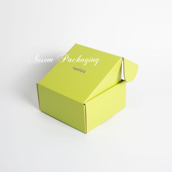 Custom Shoes Mailer Box